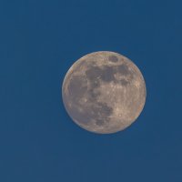 *** :: Виктор Иванович Чернюк