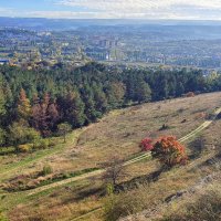 На природе :: Мариша 