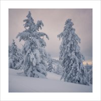 * :: Александр Иванов