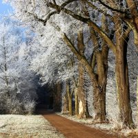 Зимнее утро :: Юрий. Шмаков