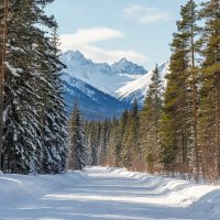 Зимняя дорога :: Ravile 