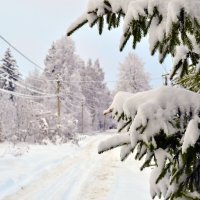 Зииняя дорога :: Ольга 