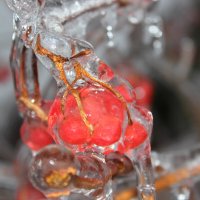 зимняя сказка :: Наталья Штанулина