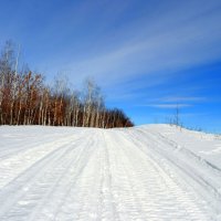 Под небесами февраля... :: Андрей Заломленков