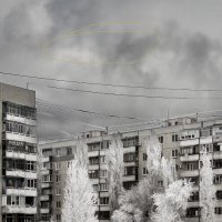 для критики :: Ирина Солощ