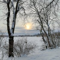 Солнце в зимний день :: Мария Васильева