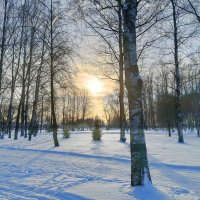 Солнце в зимний день :: Мария Васильева