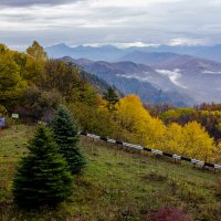 Осенняя Адыгея. :: ирина )))