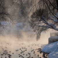 Зимний день в парке С.М.Кирова :: Анастасия Логинова