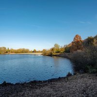 Теневая сторона... :: Николай Гирш