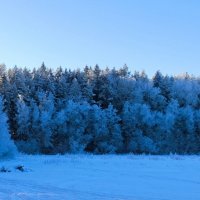 Февраль - мороз и солнце. :: Ольга 