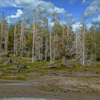 Йеллоустон :: Aleksey Afonin