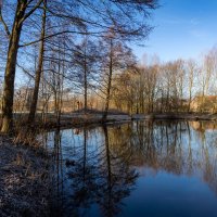 Январский мотив... :: Николай Гирш