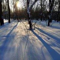 Зима в Москве :: Андрей Лукьянов