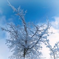 В парке Тондилоо :: Veera V