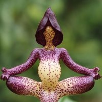 А через месяц - ВЕСНА !...) :: Валерий Кокорев