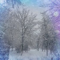 Снежно. :: Марина Леонидовна