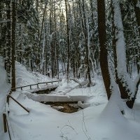 Вдоль ручья :: Сергей Цветков