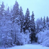 Красота :: Людмила Смородинская