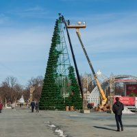 Завалили елку! :: Игорь Сикорский Завалили елку! :: Игорь Сикорский