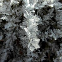 Зимнее украшение. :: nadyasilyuk Вознюк