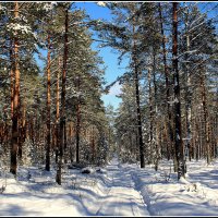 *** :: Aleksandr Gal