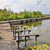 Когда-то давно на Волге) :: Дмитрий Балашов