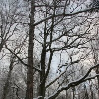 Парк Александрия :: Наталья Герасимова