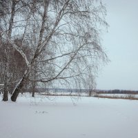 Тишина, которая говорит больше слов. :: Вадим Басов