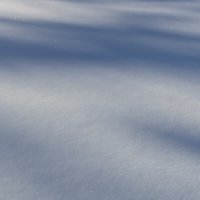 Снежный покров :: Александр Синдерёв