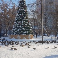 У ёлки птички собрались :: Galina Solovova