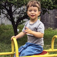 Лошадь или самолёт. :: Владимир Кроливец