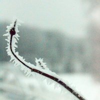 Зима в Подмосковье. Клин :: Дмитрий 