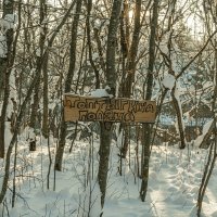 В гостях у сказки :: Александр Филатов