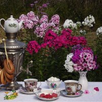 Летнее чаепитие! :: Нина Андронова