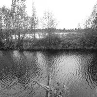 Фотография :: Денис Безногов