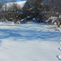 *** :: Владимир Безбородов