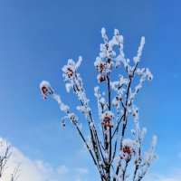 В парке Тондилоо :: Veera V