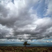 Дождевые облака :: Aleksey Afonin