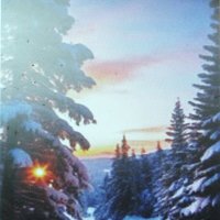 Красивый, но туманный денёк :: Людмила Смородинская