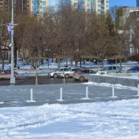 Ростов-на-Дону. Покровский сквер зимой. :: Пётр Чернега