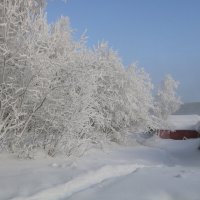 Белым-бело :: Ольга 