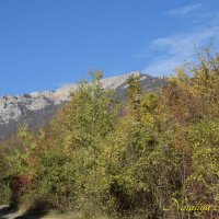 Природа Крыма :: Amazing Cosmea