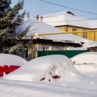 " Подснежники.." :: Михаил. 