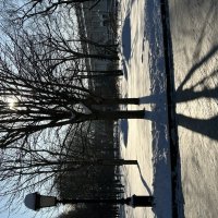 Москва :: Натали 