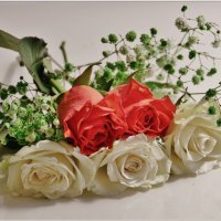 РОЗЫ... :: Elvira E. 