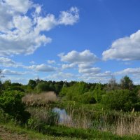 Местная река. :: Виктор 