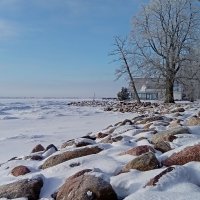 Зимний променад .... :: Татьян@ Ивановна