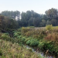 Река Колочь. :: Александр. AVG100 ---