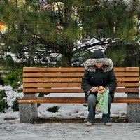 На свежем воздухе... :: Николай Саржанов